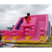 hot sales inflatable slides